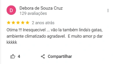 Captura-de-tela-2024-05-31-140938-2.webp